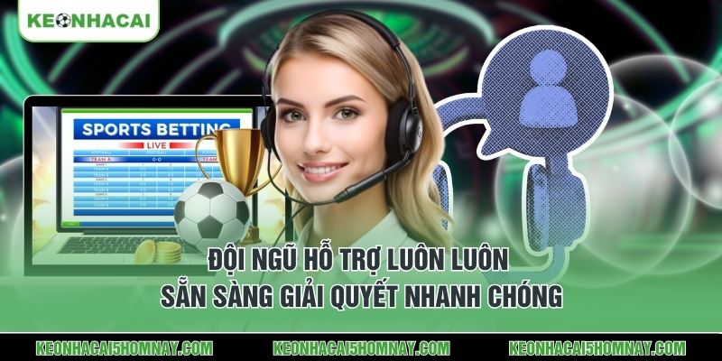 Đội ngũ hỗ trợ luôn luôn sẵn sàng giải quyết nhanh chóng